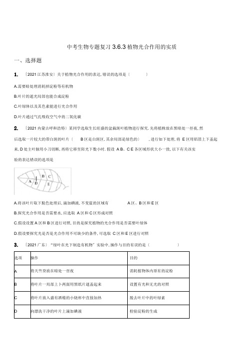 中考生物专题复习6-3植物光合作用的实质同步练习及答案