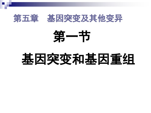 人教版生物必修二5.1基因突变和基因重组 课件