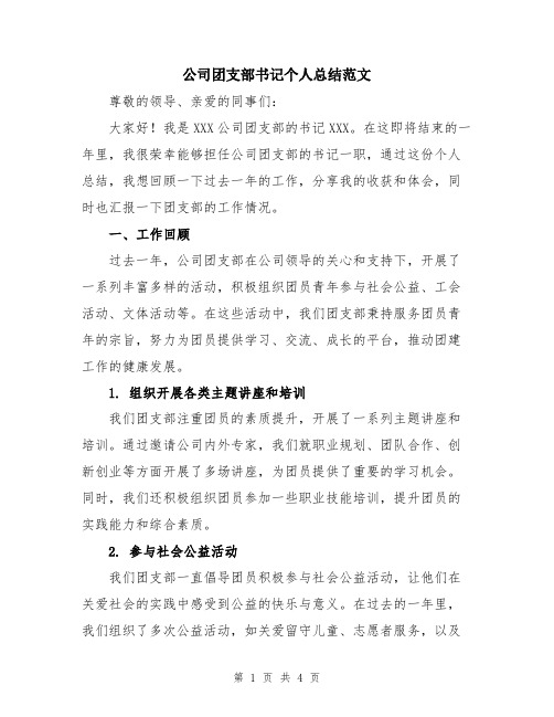 公司团支部书记个人总结范文