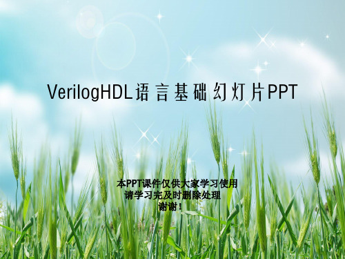 VerilogHDL语言基础幻灯片PPT