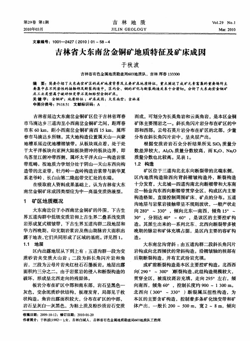 吉林省大东南岔金铜矿地质特征及矿床成因