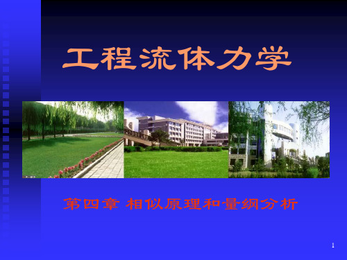 流体力学量纲分析(课堂PPT)