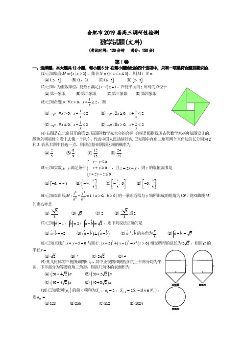 合肥市2019届高三调研性检测文科数学试卷(word版含答案)