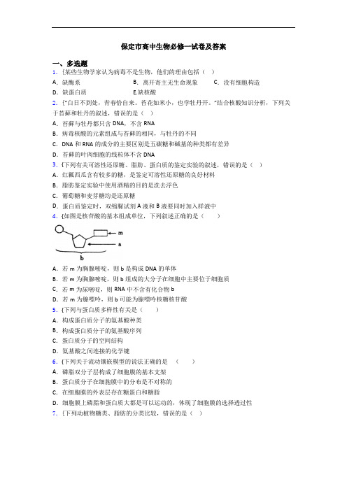 保定市高中生物必修一试卷及答案