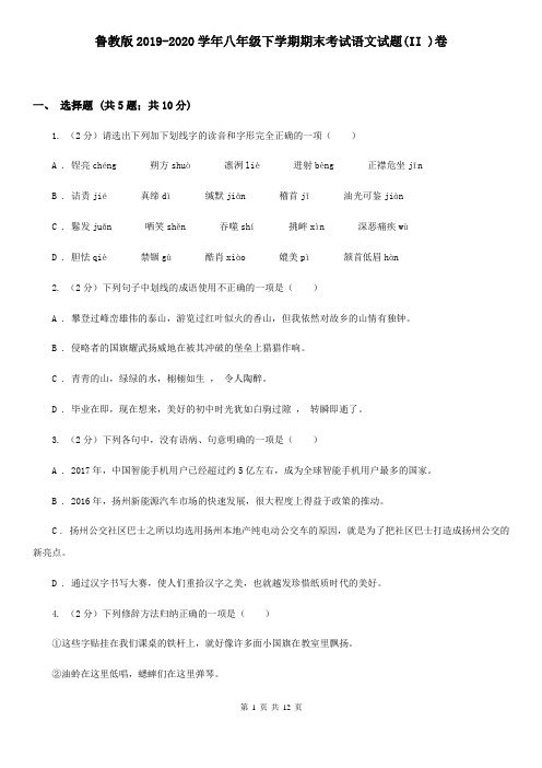 鲁教版2019-2020学年八年级下学期期末考试语文试题(II )卷