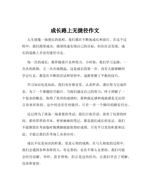 成长路上无捷径作文