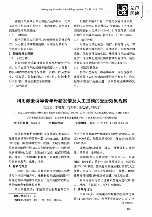 利用激素诱导青年母猪发情及人工授精的受胎效果观察