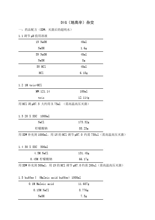 地高辛探针制作