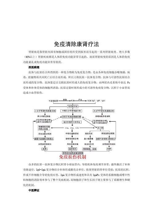 免疫清除康肾疗法