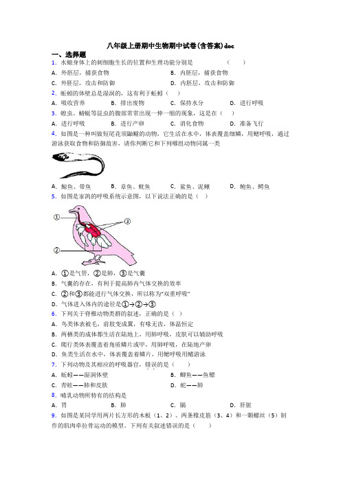 八年级上册期中生物期中试卷(含答案)doc