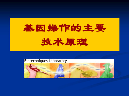 6、7、8、9 基因操作的主要技术