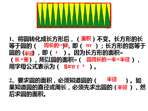 圆的面积练习课课件