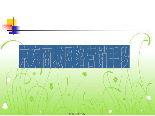 京东商城网络营销手段(共31PPT)