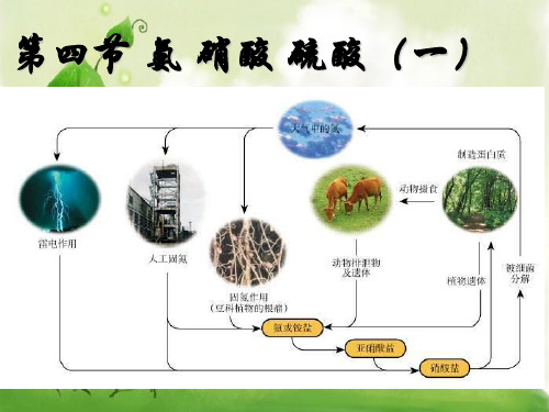 氨 硝酸和硫酸复习PPT教学课件