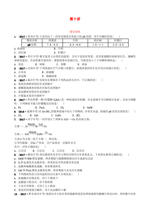 山东省济宁市2018年中考化学复习第十讲随堂演练练习