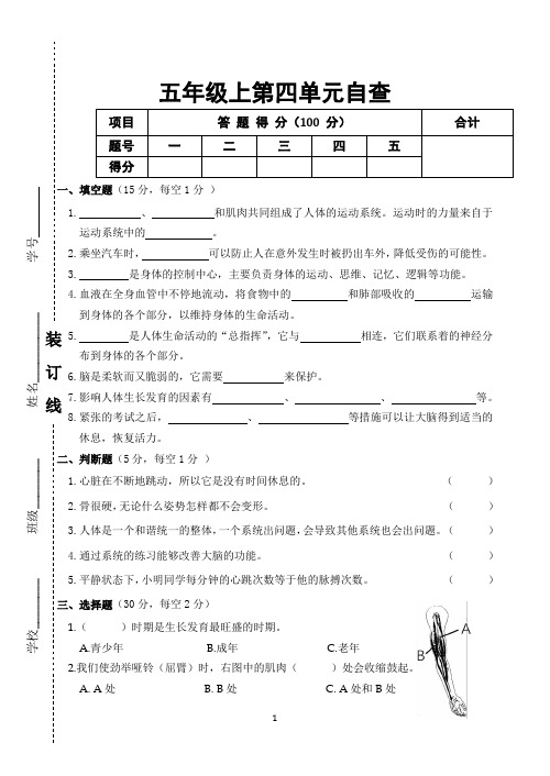 2024学年五年级上册第四单元测试卷