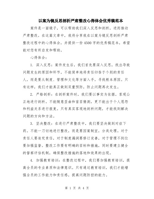 以案为镜反思剖析严肃整改心得体会优秀稿范本