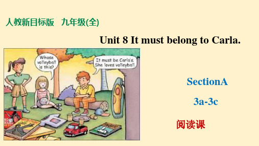 Unit 8  Section A 3a-3c 阅读课 九年级英语全一册课件(人教版新目标)