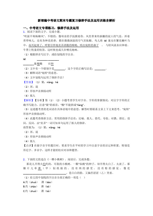 新部编中考语文期末专题复习修辞手法及运用训练含解析