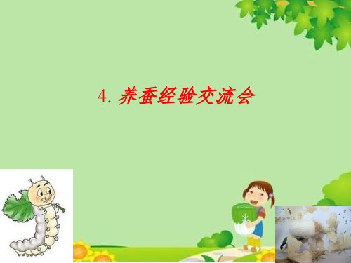 《养蚕》ppt优秀课件粤教版小学1