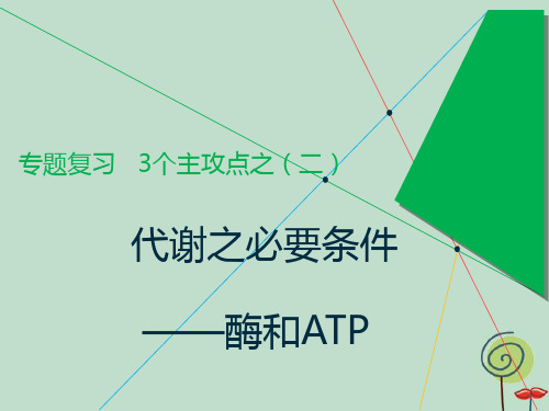 2019版高考生物二轮复习专题二代谢主攻点之二代谢之必要条件__酶和ATP课件