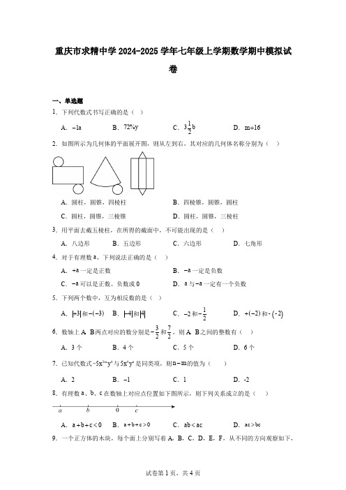 重庆市求精中学2024-2025学年七年级上学期数学期中模拟试卷