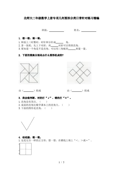 北师大二年级数学上册专项几何图形分类日常针对练习精编