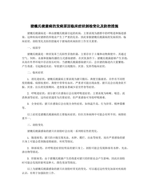 猪魏氏梭菌病的发病原因临床症状剖检变化及防控措施