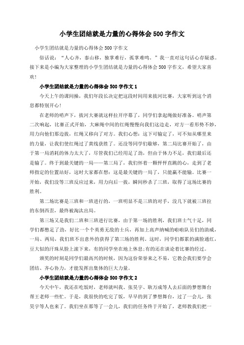 小学生团结就是力量的心得体会500字作文