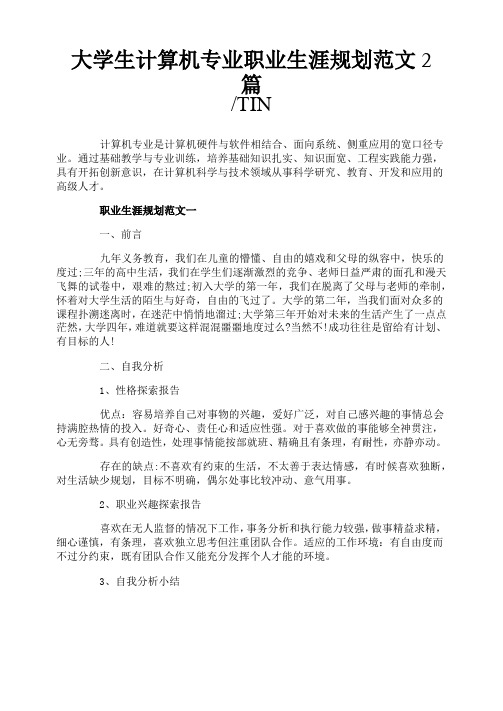 大学生计算机专业职业生涯规划范文2篇