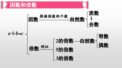 小学数学五年级下册思维导图