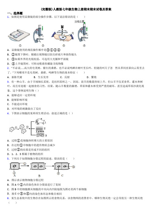 (完整版)人教版七年级生物上册期末期末试卷及答案