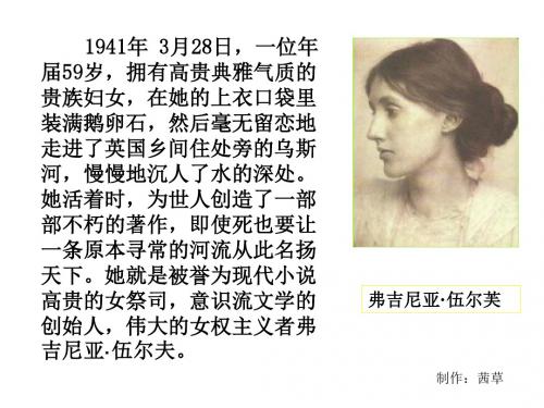 【高中语文】墙上的斑点ppt精品课件34