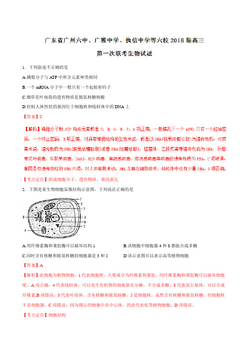 【全国百强校】广东省广州六中、广雅中学、执信中学等六校2016届高三第一次联考生物试题(解析版)