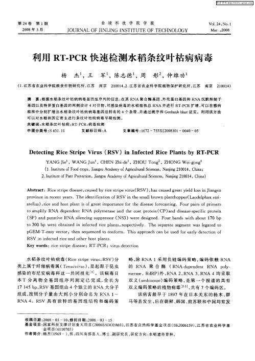 利用RT-PCR快速检测水稻条纹叶枯病病毒