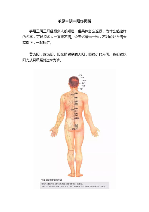 手足三阴三阳经图解