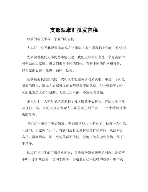 支部观摩汇报发言稿