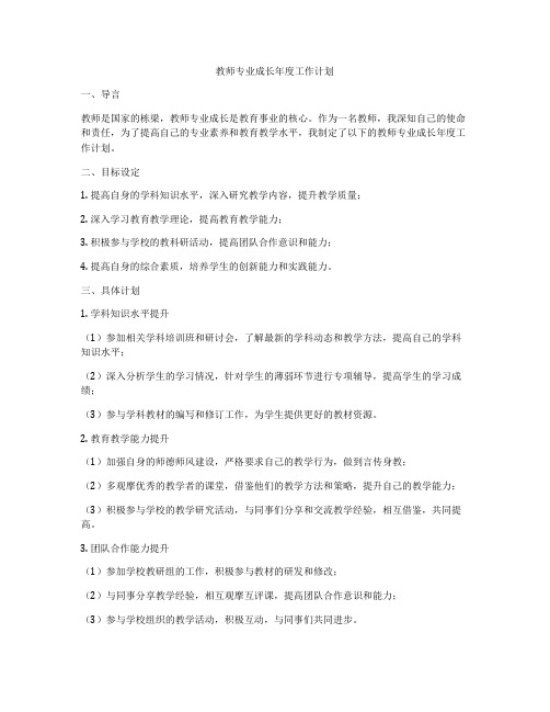 教师专业成长年度工作计划