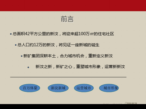 新泰市华新世纪城项目营销策划提报