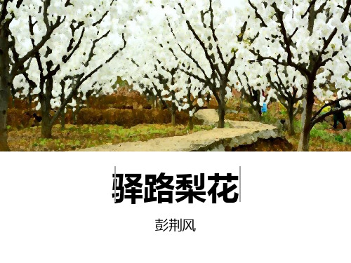 (名师整理)最新部编人教版语文7年级下册《驿路梨花》市公开课一等奖课件