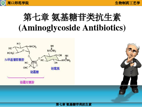 第七章 氨基糖苷类抗生素