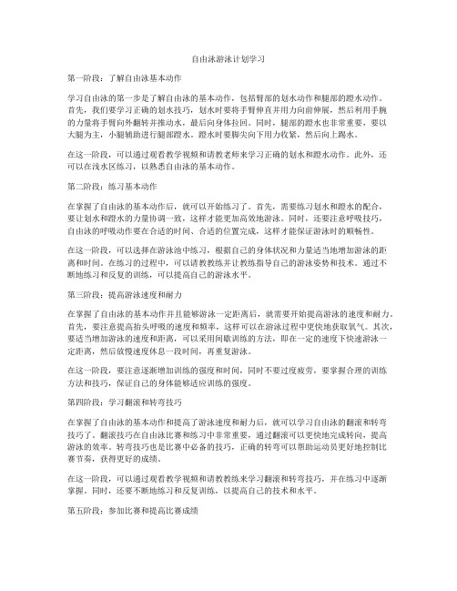 自由泳游泳计划学习