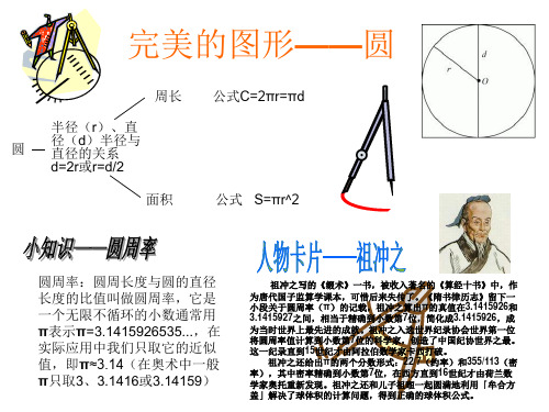 完美的图形——圆(手抄报)