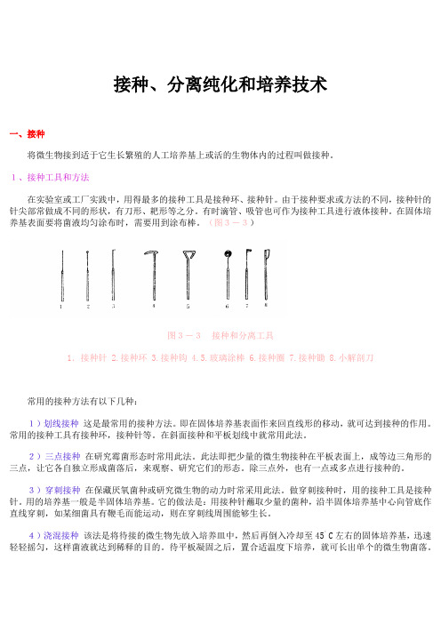 菌种的分离与纯化