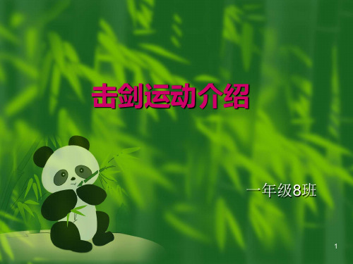 击剑运动介绍ppt课件