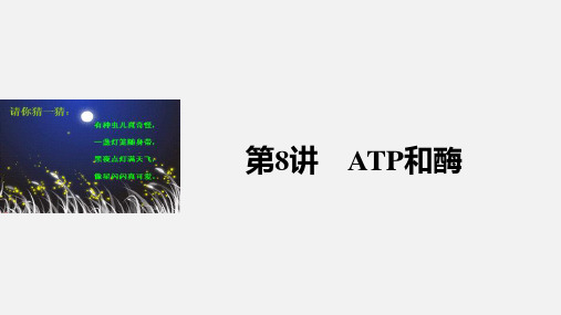 高考生物 一轮复习 细胞的能量供应和利用 第8讲 ATP和酶 新人教版