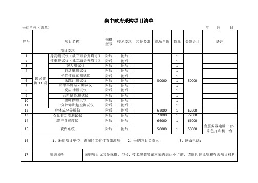 集中政府采购项目清单