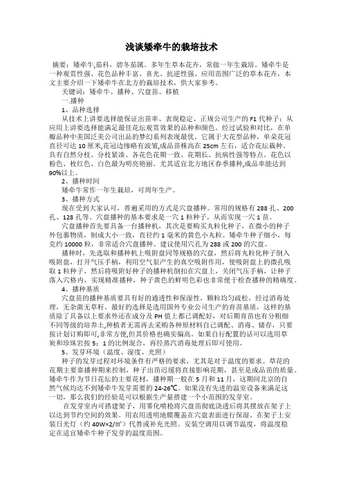 浅谈矮牵牛的栽培技术