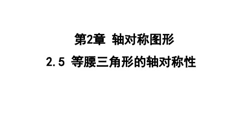 2.5等腰三角形的轴对称性课件苏科版数学八年级上册