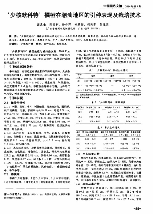 ‘少核默科特’橘橙在潮汕地区的引种表现及栽培技术